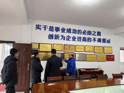 洪江區(qū)工委社會(huì)工作部走訪(fǎng)調(diào)研我司黨建工作